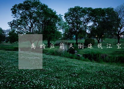 离婚后前夫倒追我江宝宝 离婚后前夫倒追我江宝宝