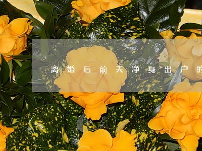 离婚后前夫净身出户的故事 离婚后前夫净身出户的故事