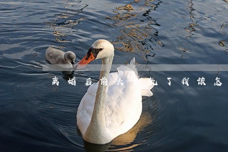 离婚后前夫出轨了我该怎么办 离婚后前夫出轨了我该怎么办