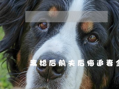 离婚后前夫后悔追妻全城追