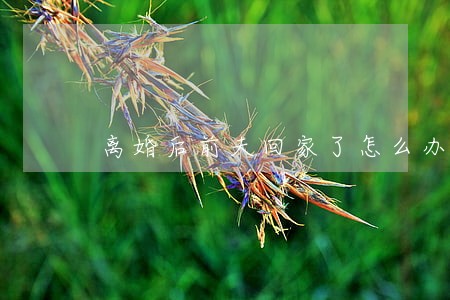 离婚后前夫回家了怎么办 离婚后前夫回家了怎么办