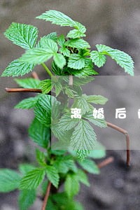 离婚后前夫家闹事 离婚后前夫家闹事