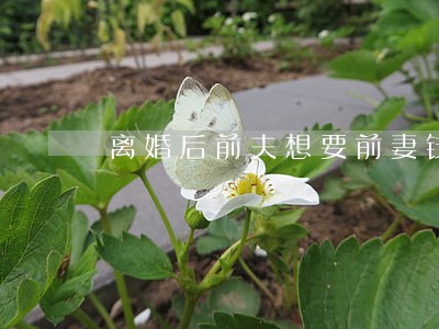 离婚后前夫想要前妻钱 离婚后前夫想要前妻钱