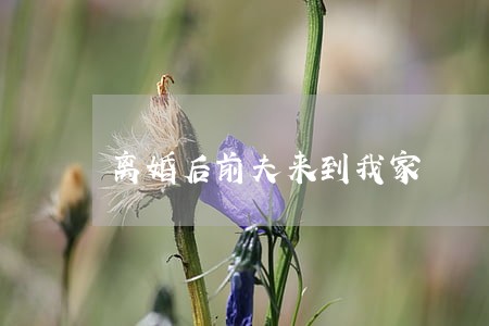 离婚后前夫来到我家