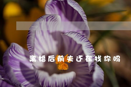 离婚后前夫还在找你吗 离婚后前夫还在找你吗