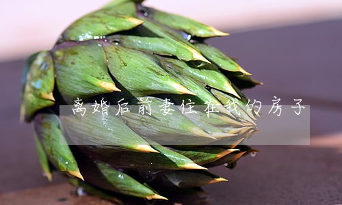 离婚后前妻住在我的房子 离婚后前妻住在我的房子