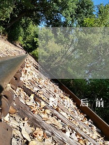离婚后前妻办的信用卡逾期 离婚后前妻办的信用卡逾期