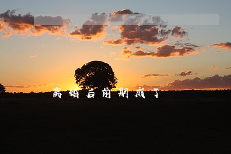 离婚后前期成了 离婚后前期成了