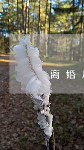 离婚后协议抚养费 离婚后协议抚养费