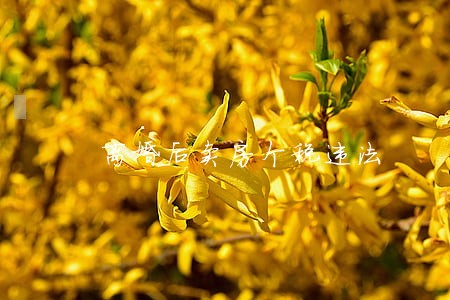 离婚后卖房个税违法 离婚后卖房个税违法