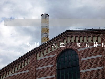 离婚后又生二胎有补贴吗
