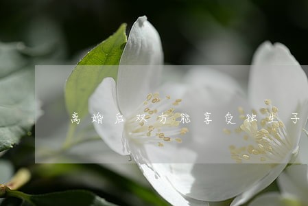 离婚后双方能享受独生子女费吗 离婚后双方能享受独生子女费吗