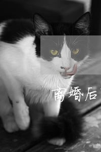 离婚后可以改协议书吗 离婚后可以改协议书吗