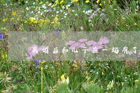 离婚后和儿子在一起有了孩子 离婚后和儿子在一起有了孩子