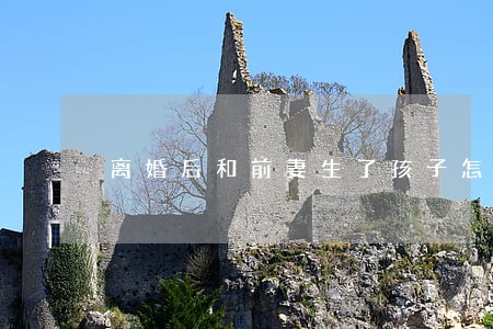 离婚后和前妻生了孩子怎么上户口 离婚后和前妻生了孩子怎么上户口