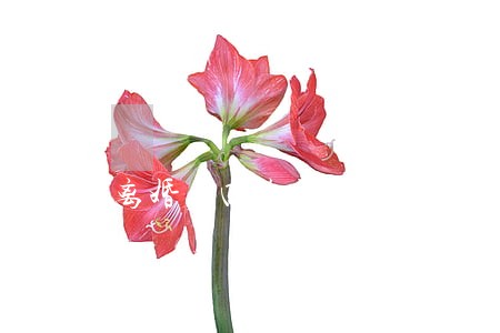 离婚后四年没看孩子 离婚后四年没看孩子