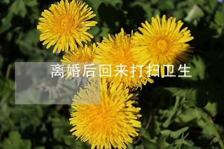 离婚后回来打扫卫生