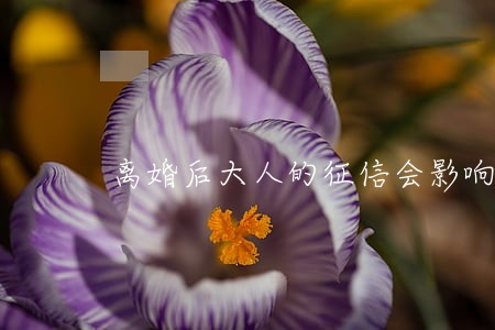 离婚后大人的征信会影响孩子吗 离婚后大人的征信会影响孩子吗