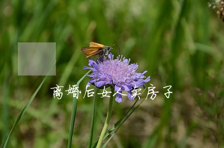 离婚后女人卖房子 离婚后女人卖房子
