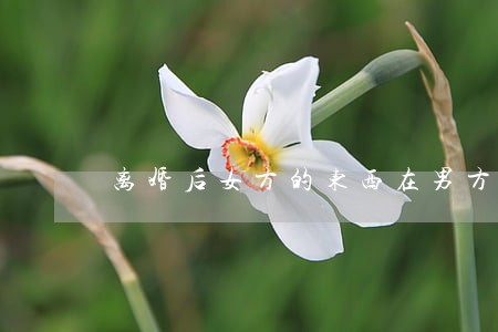 离婚后女方的东西在男方家 离婚后女方的东西在男方家
