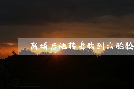 离婚后她转身收到六胎验孕单 离婚后她转身收到六胎验孕单