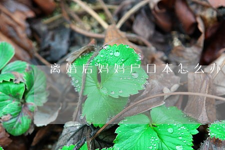 离婚后妈妈户口本怎么办 离婚后妈妈户口本怎么办