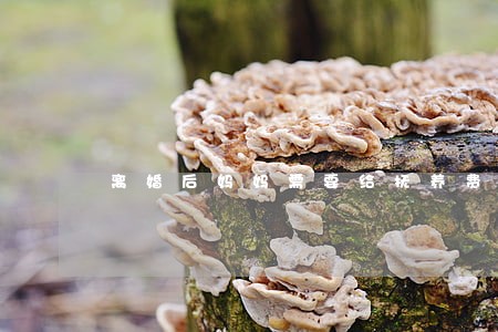 离婚后妈妈需要给抚养费吗 离婚后妈妈需要给抚养费吗