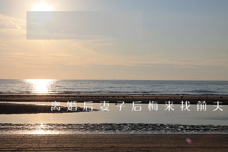 离婚后妻子后悔来找前夫 离婚后妻子后悔来找前夫