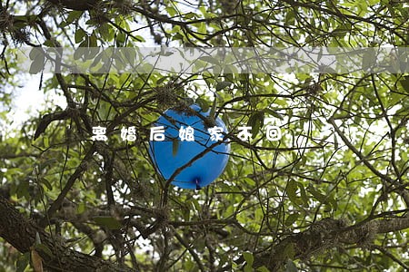 离婚后娘家不回 离婚后娘家不回