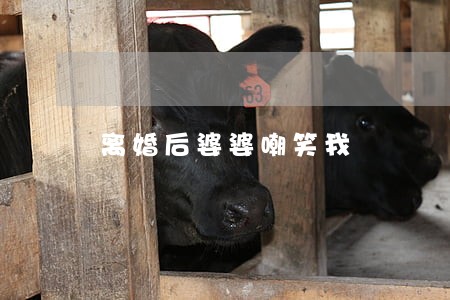 离婚后婆婆嘲笑我 离婚后婆婆嘲笑我