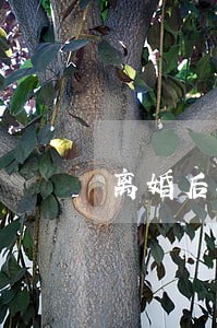 离婚后婆婆爷爷有没有探视权 离婚后婆婆爷爷有没有探视权