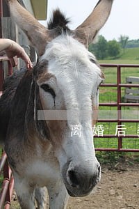 离婚后婆婆送自己的衣服 离婚后婆婆送自己的衣服