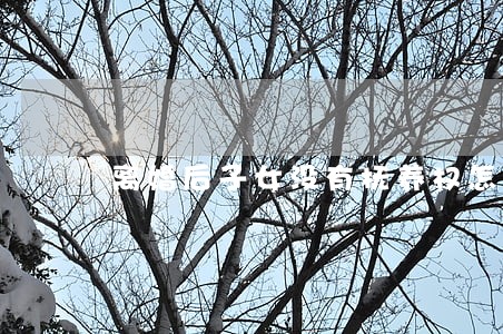 离婚后子女没有抚养权怎么办 离婚后子女没有抚养权怎么办