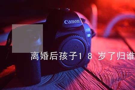 离婚后孩子18岁了归谁抚养