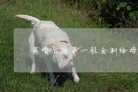 离婚后孩子一般会判给母亲吗 离婚后孩子一般会判给母亲吗