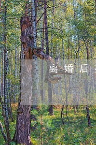 离婚后孩子可以过户给小姨吗 离婚后孩子可以过户给小姨吗