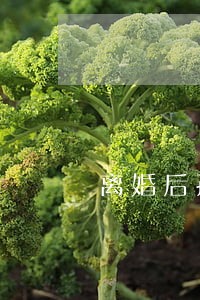 离婚后孩子在想什么 离婚后孩子在想什么