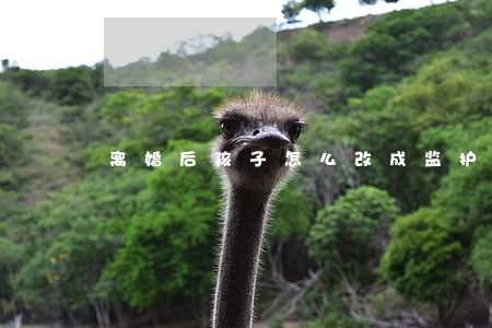 离婚后孩子怎么改成监护人姓