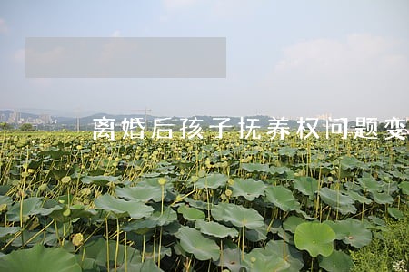 离婚后孩子抚养权问题变更流程 离婚后孩子抚养权问题变更流程