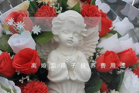 离婚后孩子抚养费用途 离婚后孩子抚养费用途
