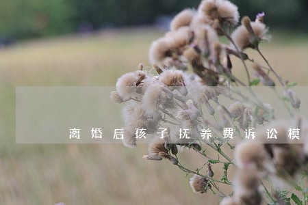 离婚后孩子抚养费诉讼模板 离婚后孩子抚养费诉讼模板