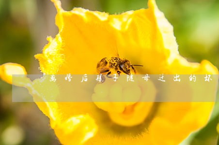离婚后孩子随母迁出的坏处 离婚后孩子随母迁出的坏处