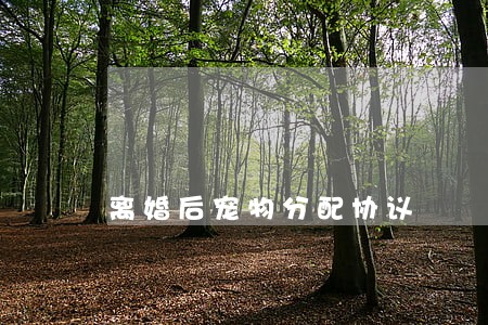 离婚后宠物分配协议 离婚后宠物分配协议