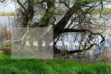 离婚后小孩转女方户口怎么办
