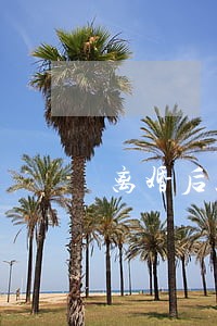 离婚后就可以没有顾虑帮助娘家吗