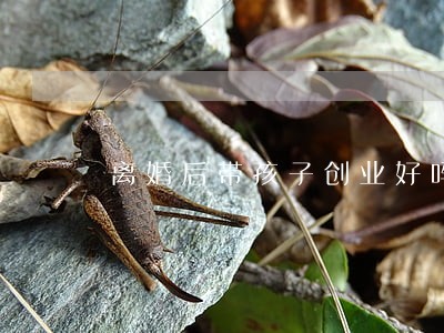 离婚后带孩子创业好吗