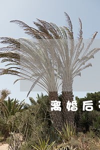 离婚后带孩子又去男方家住好吗 离婚后带孩子又去男方家住好吗