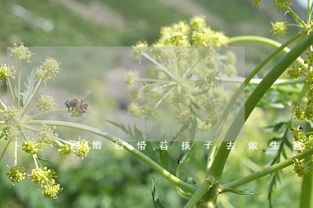 离婚后带着孩子去做生意 离婚后带着孩子去做生意
