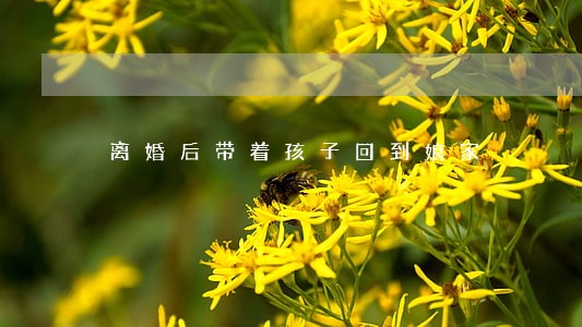 离婚后带着孩子回到娘家 离婚后带着孩子回到娘家