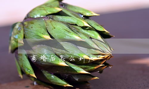 离婚后怎么利户 离婚后怎么利户